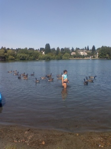 with the geese